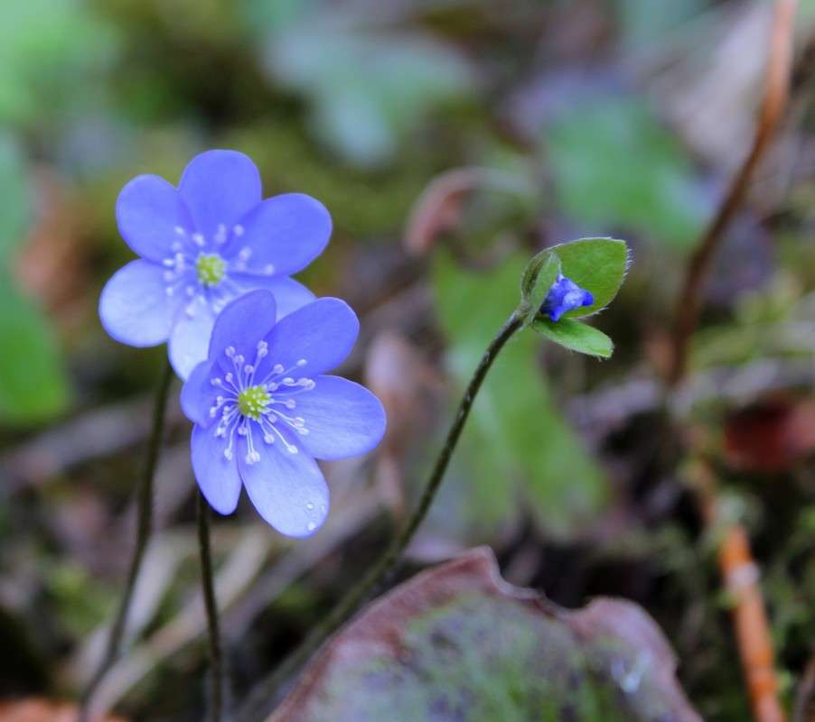 �������� ������ ����� ������� ������� �� PhotoGeek.ru #������ ��� �������