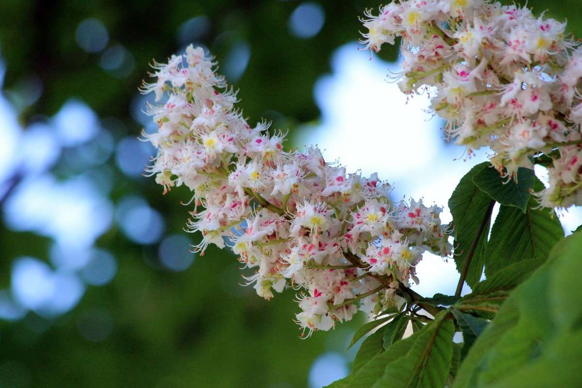 ��������... ����� ������� ������� �� PhotoGeek.ru #������ ��� �������