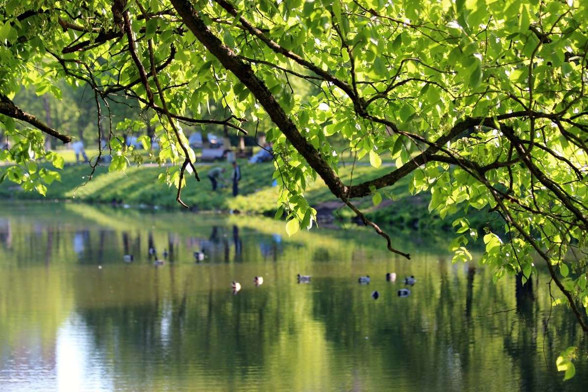 �� ������� � ����� ����� ������� ������� �� PhotoGeek.ru #������ ��� �������