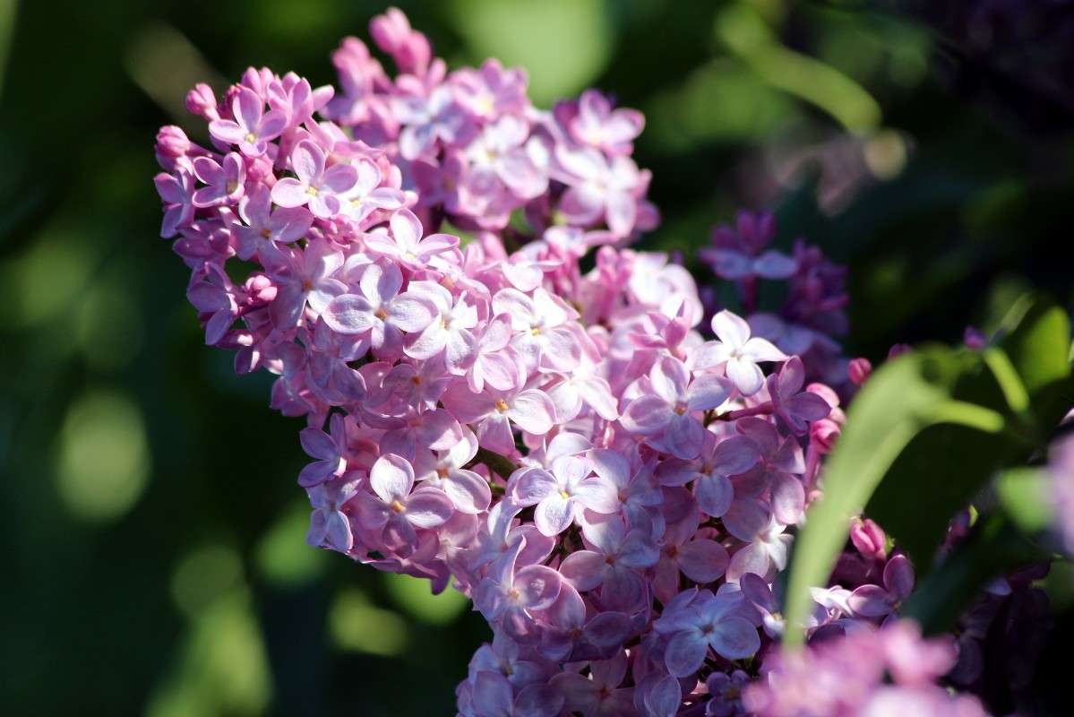 ������ ����� ������� ������� �� PhotoGeek.ru #������ ��� �������