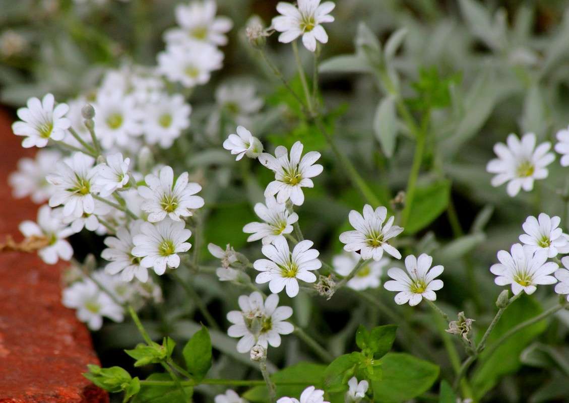 ������� ������� ����� ������� ������� �� PhotoGeek.ru #������ ��� �������