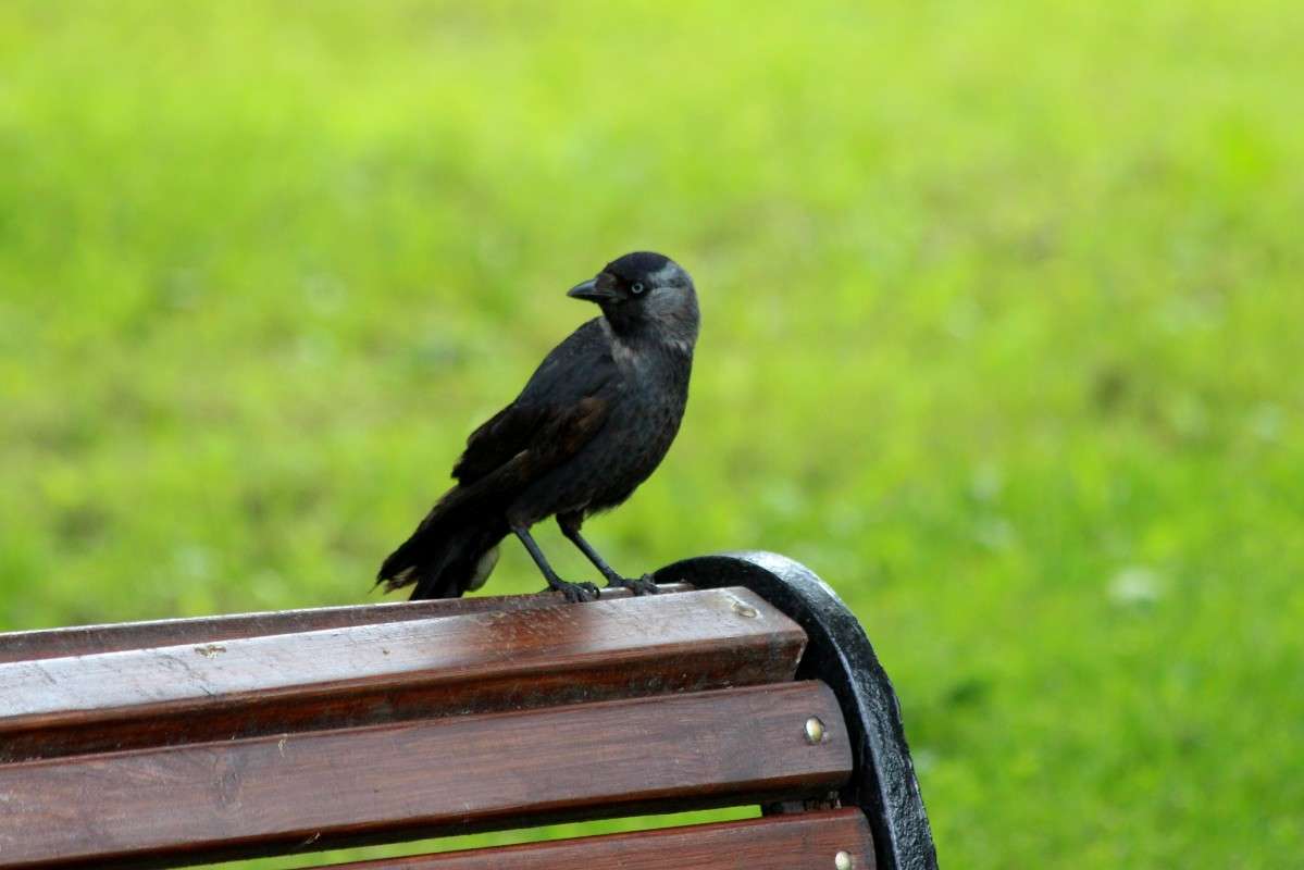 ����� ������ ����, ������ ���� ����� ������� ������� �� PhotoGeek.ru #�������� ���