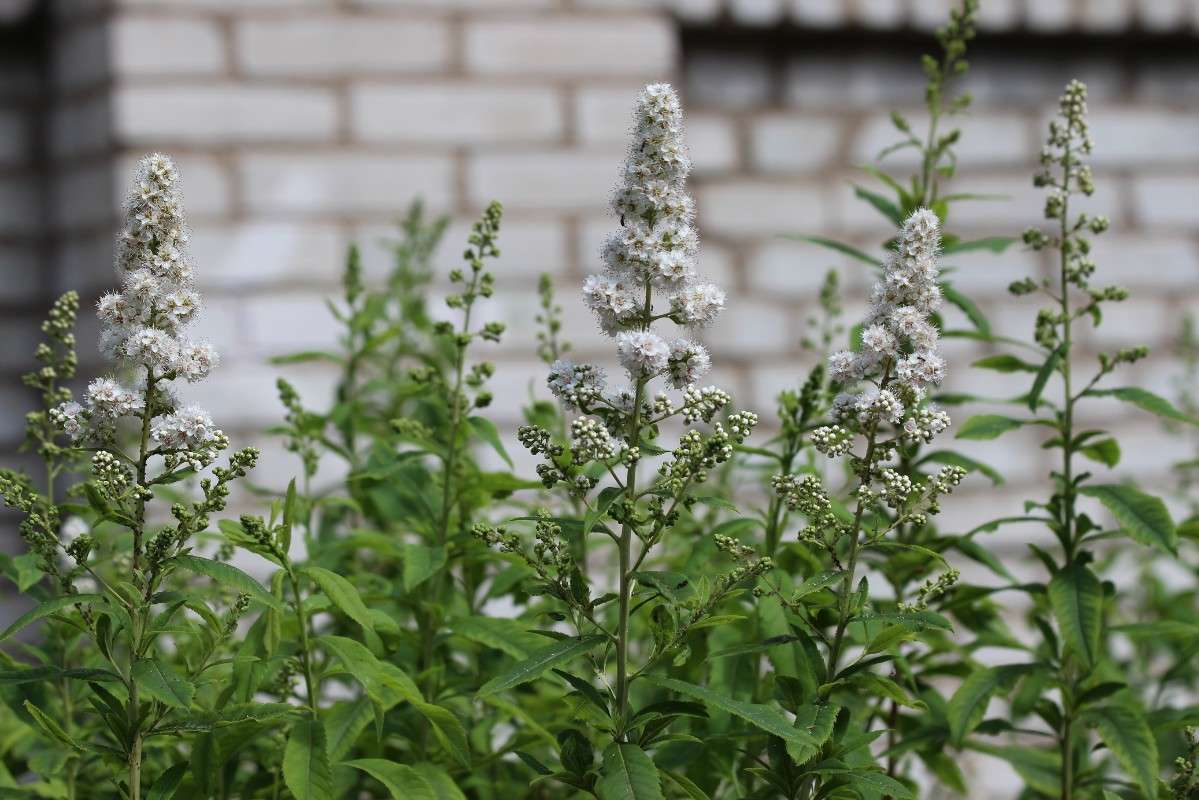 ������� �������� ����� ������� ������� �� PhotoGeek.ru #������ ��� ������� #����� ��������������