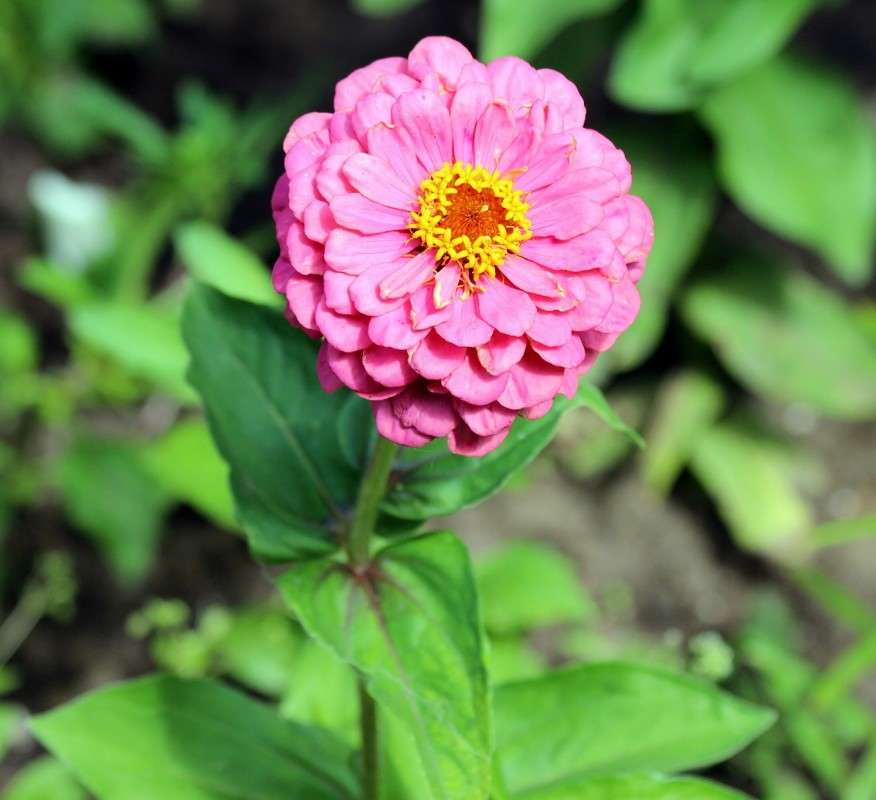 �������� ����� ������� ������� �� PhotoGeek.ru #������ ��� ������� #����� ��������������