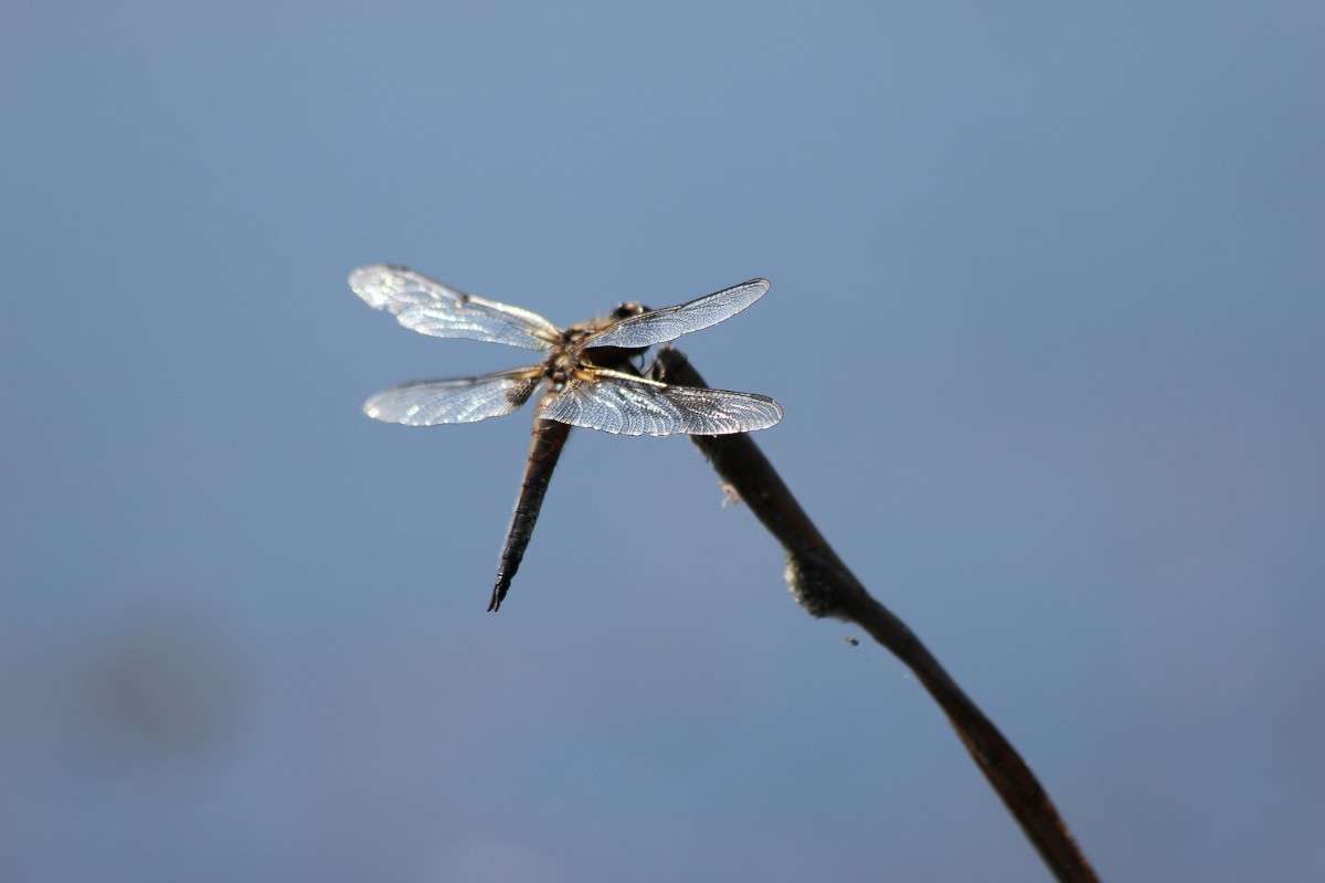 ������ ��������� �� ������� ����� ������� ������� �� PhotoGeek.ru #�����