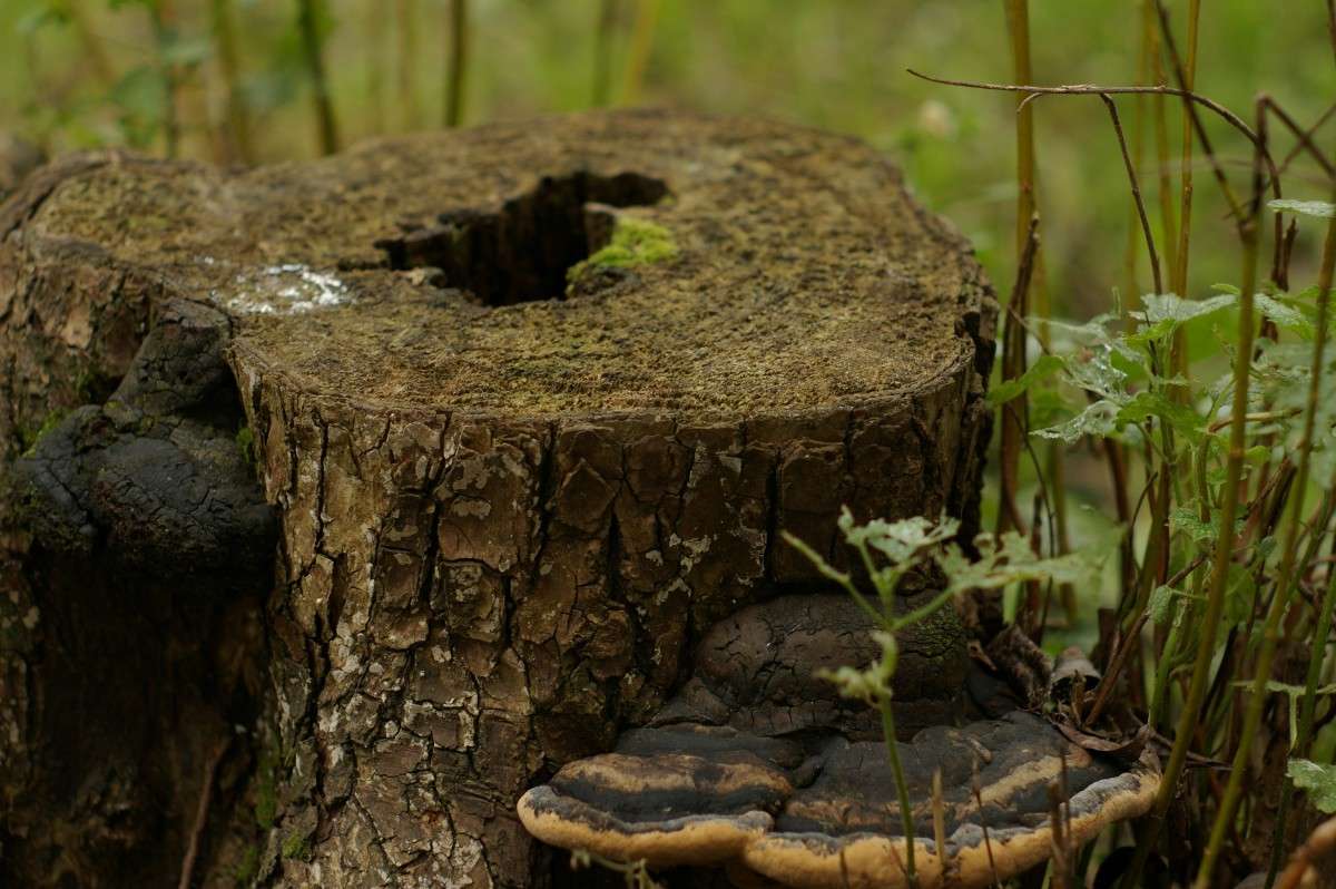 ���� �����   �� PhotoGeek.ru #������ ��� �������