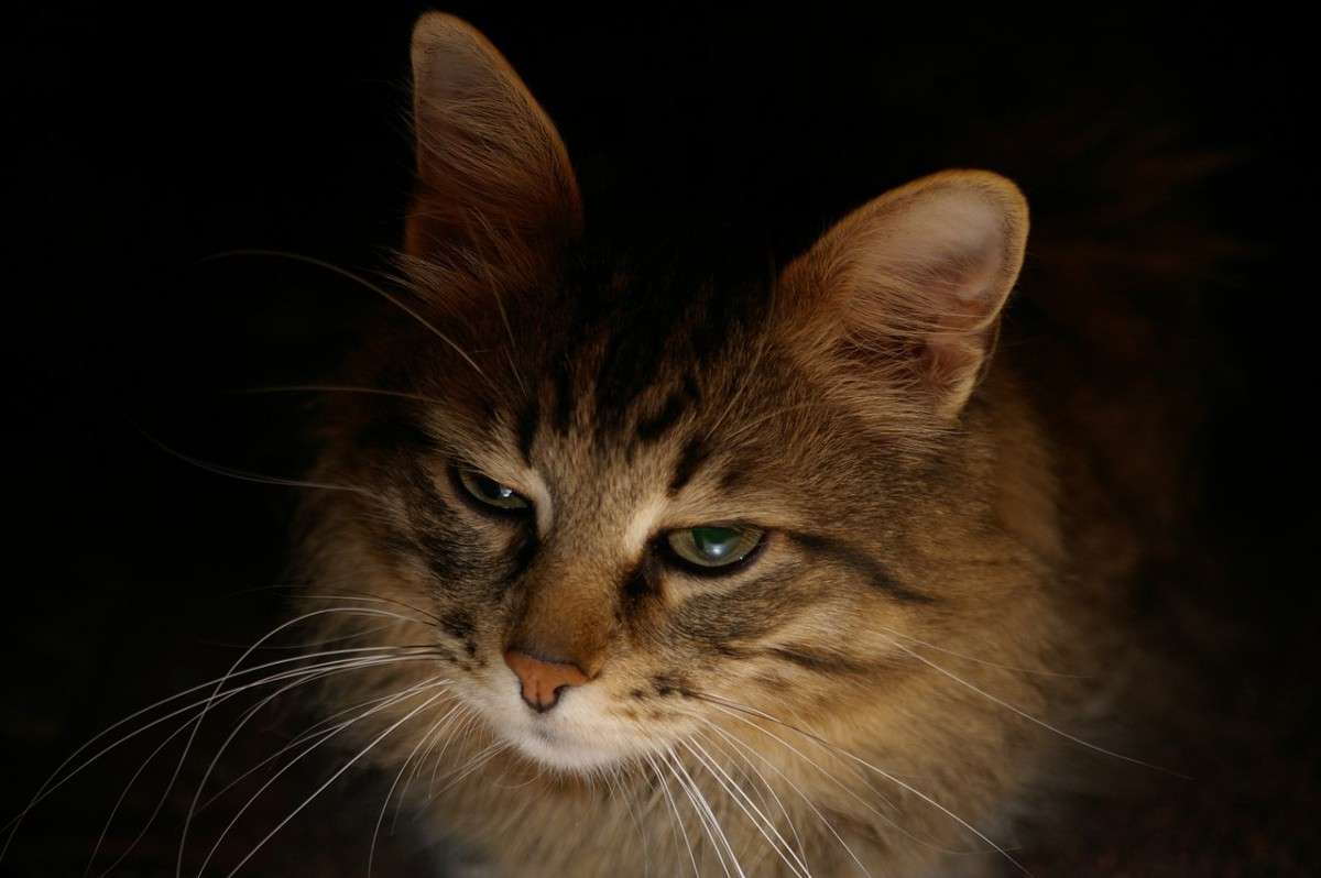 ��� �����   �� PhotoGeek.ru #�������� ��� #������� #�������� ���