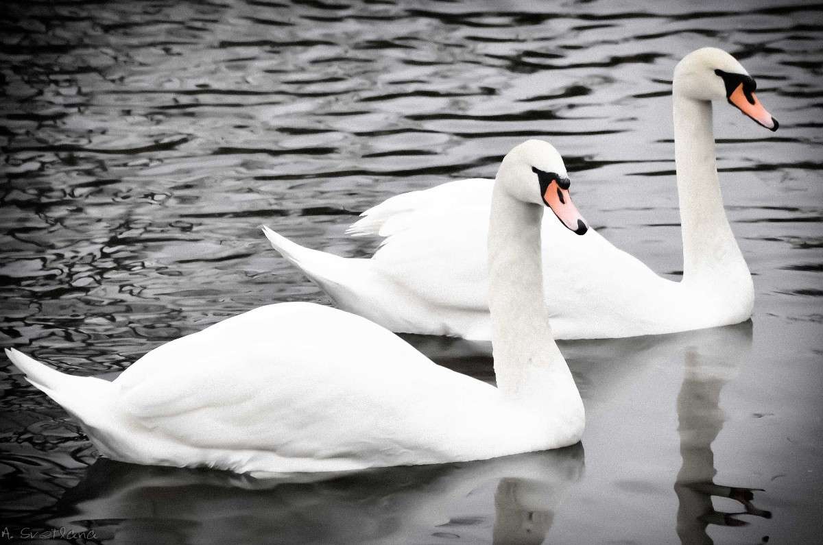 ... ����� �������� ���������� �� PhotoGeek.ru #�������� ���