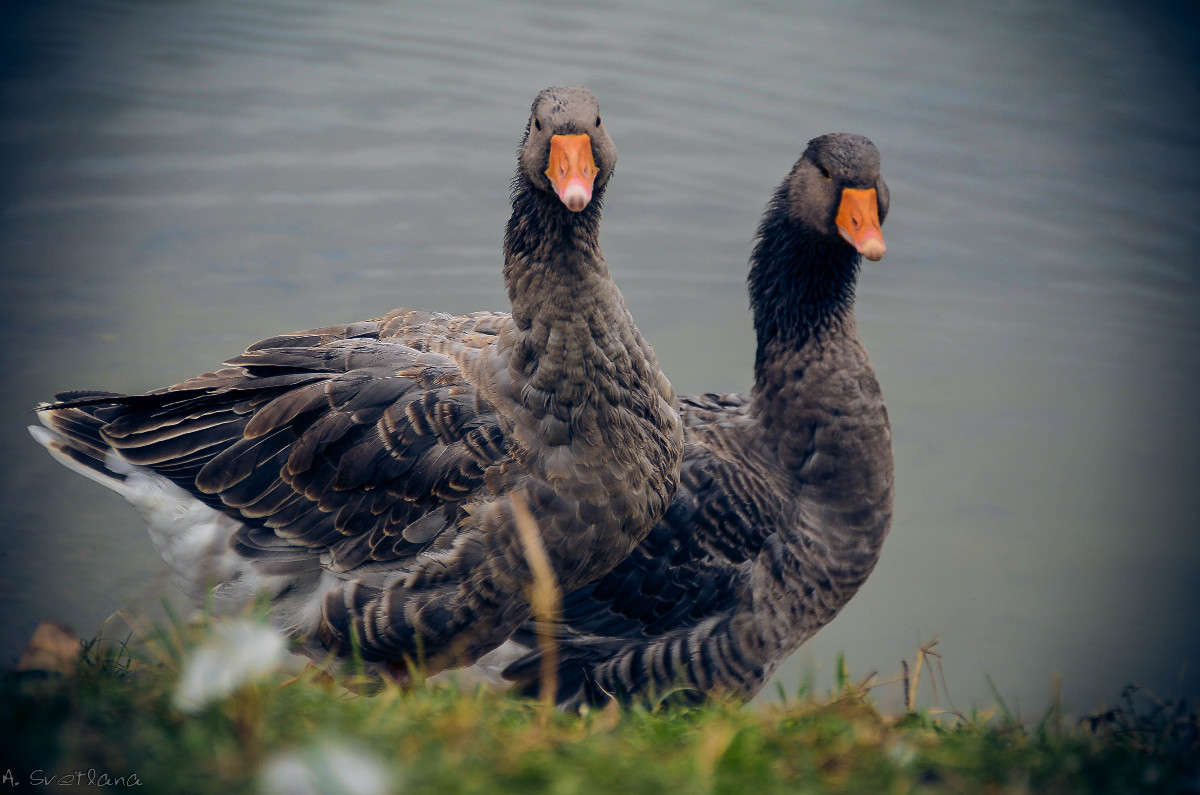 ��� ������� ���� ����� �������� ���������� �� PhotoGeek.ru #�������� ���