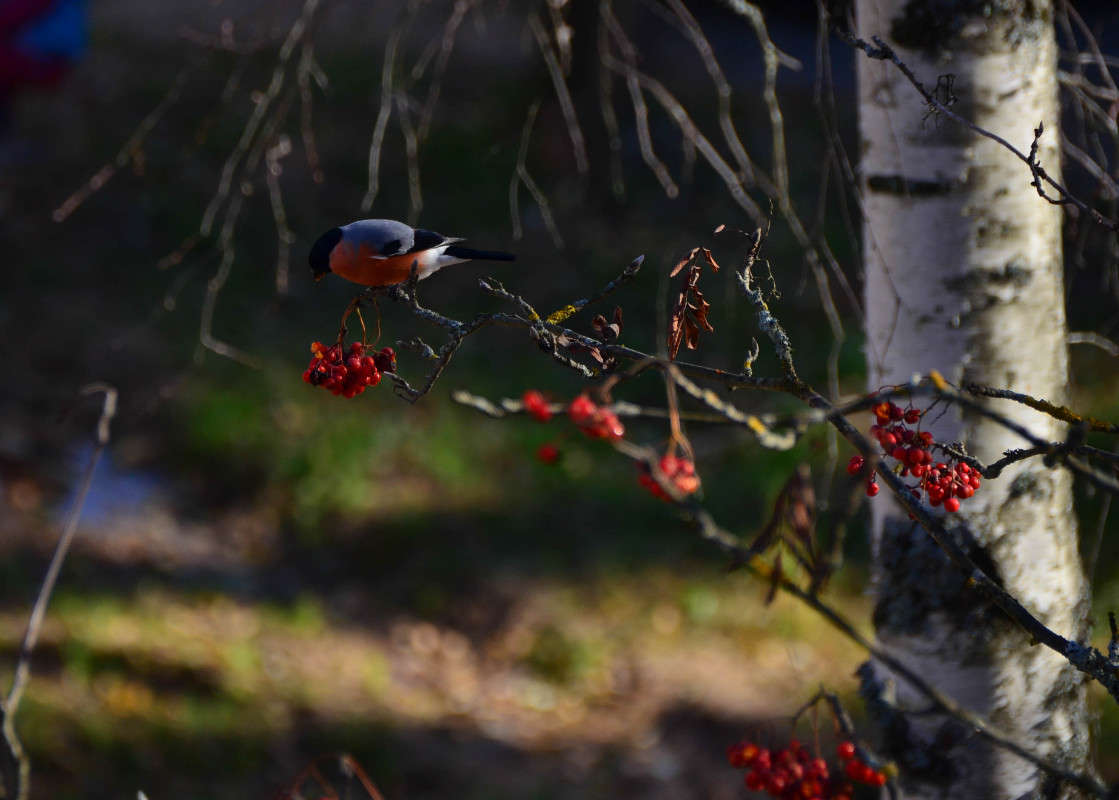 ... ����� �������� ���������� �� PhotoGeek.ru #�������� ���