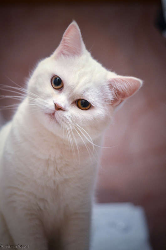 ... ����� �������� ���������� �� PhotoGeek.ru #�������� ���