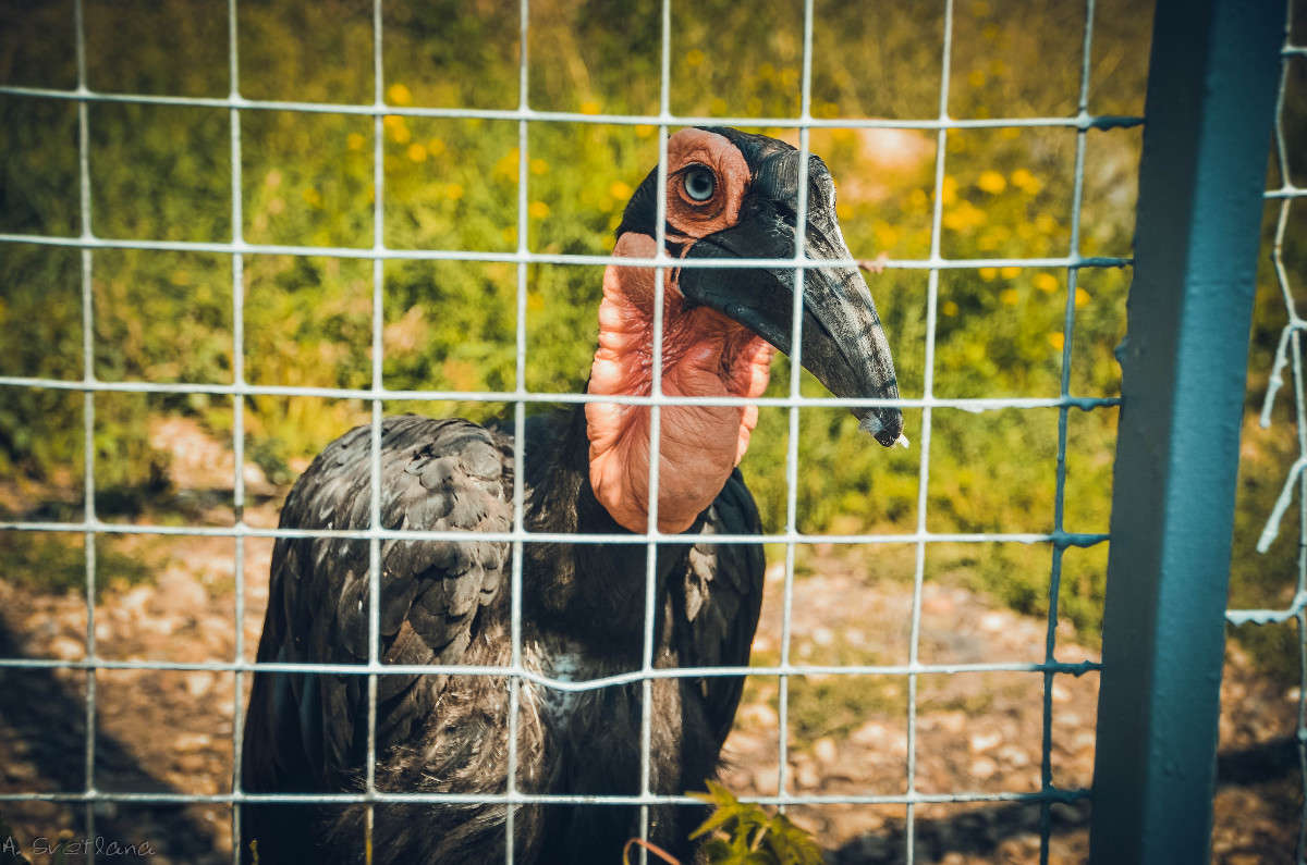 ��� ��� ����� �������� ���������� �� PhotoGeek.ru #�������� ���