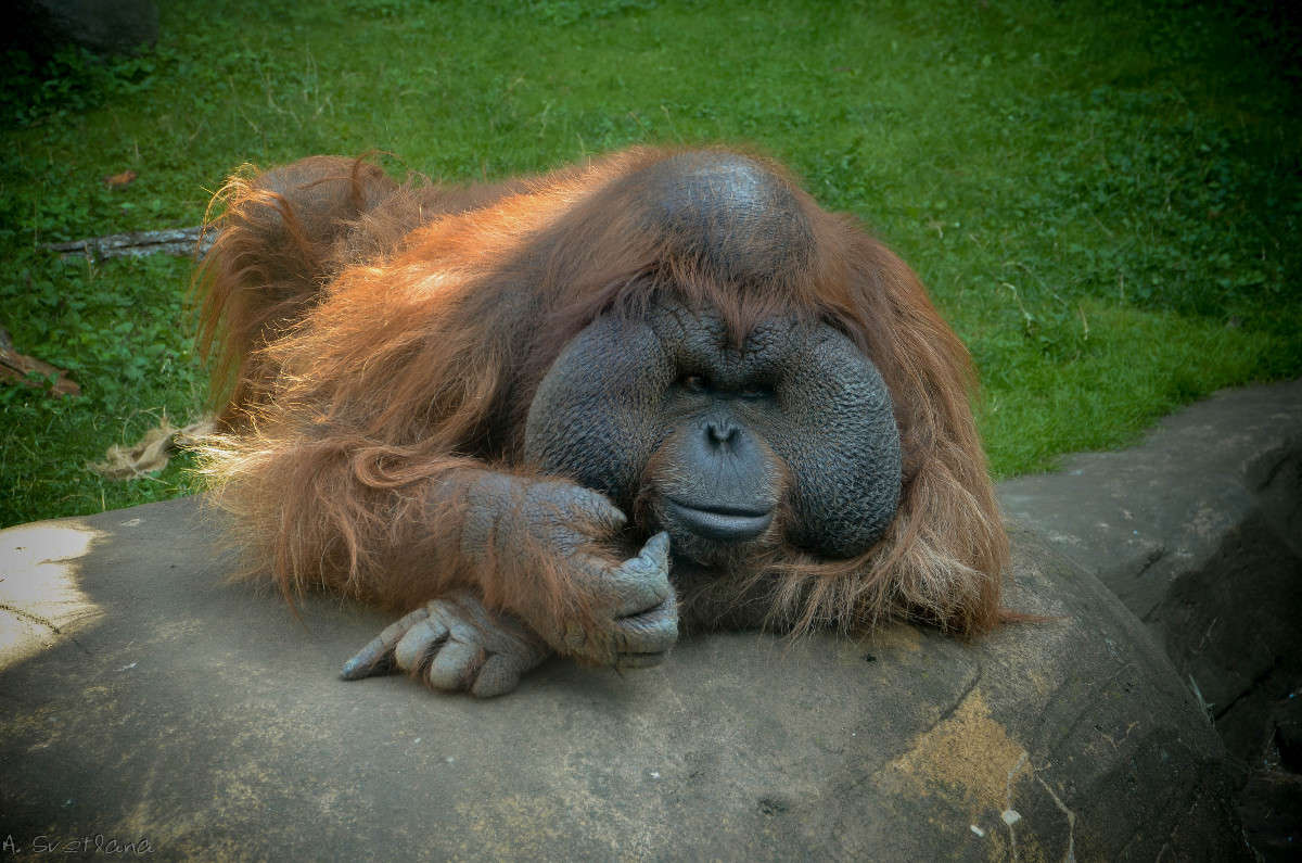 ... ����� �������� ���������� �� PhotoGeek.ru #�������� ���