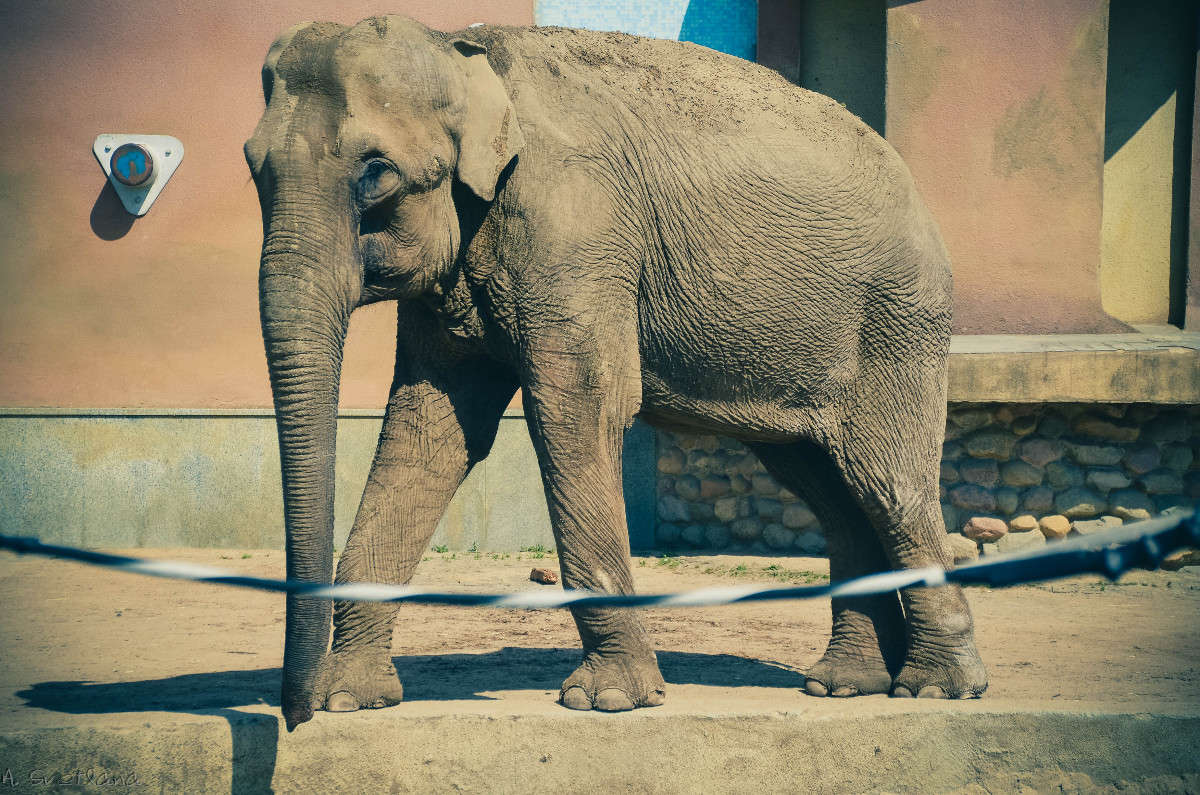 ... ����� �������� ���������� �� PhotoGeek.ru #�������� ���