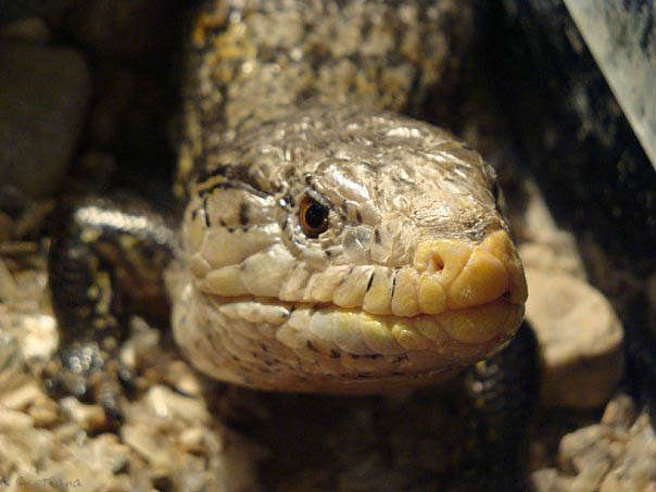 ... ����� �������� ���������� �� PhotoGeek.ru #�������� ���