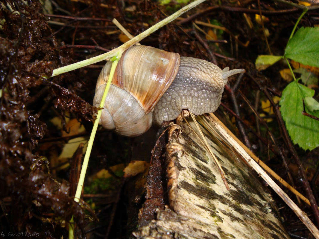 ... ����� �������� ���������� �� PhotoGeek.ru #�������� ���