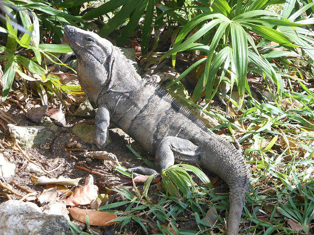 ... ����� ��������  �� PhotoGeek.ru #�������� ���