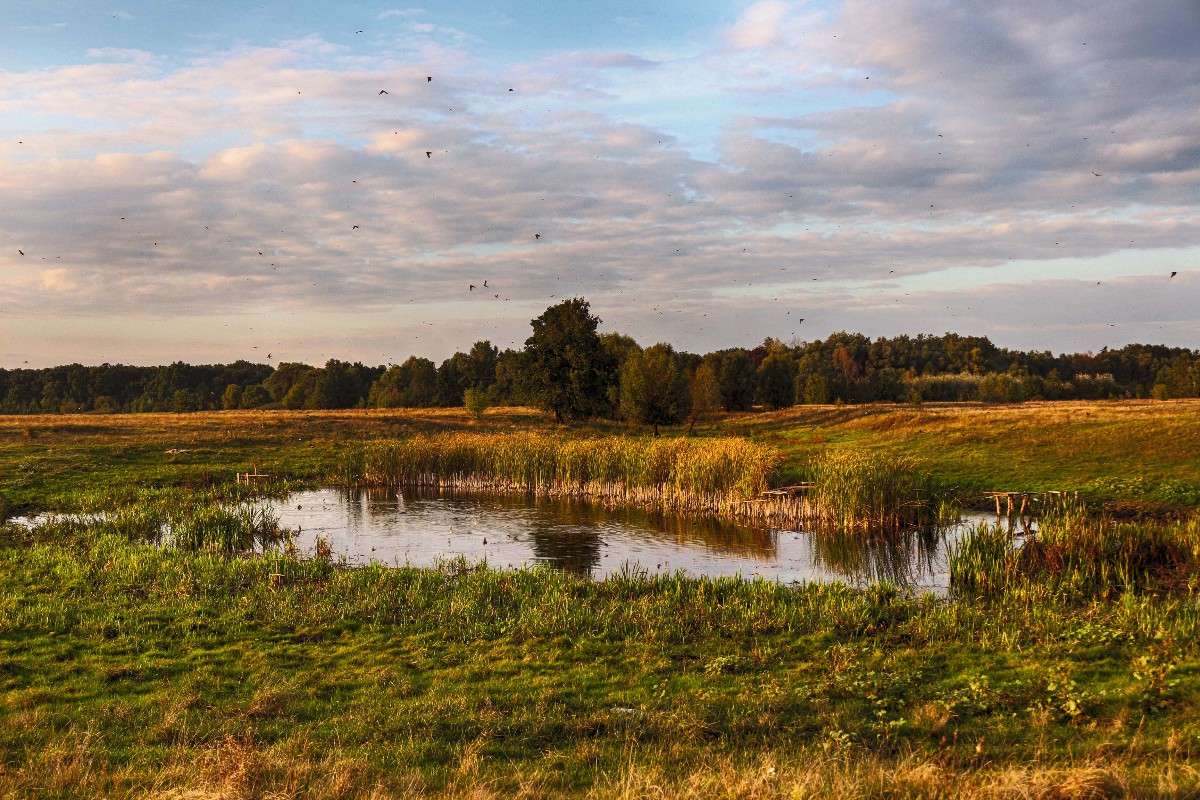 ������ ����� ����� ��������� �������� �� PhotoGeek.ru #������ ��� �������