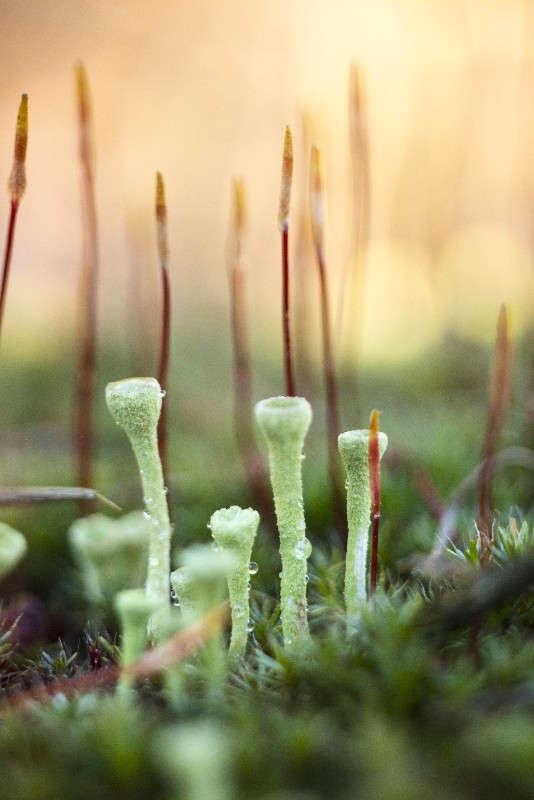 ���. ����� ��������� �������� �� PhotoGeek.ru #�����