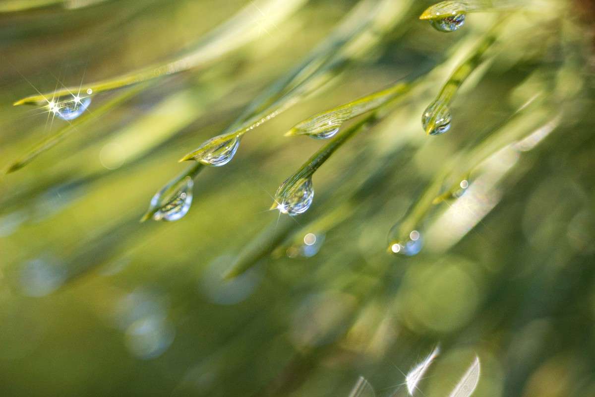 �������� ���� ����� ��������� �������� �� PhotoGeek.ru #������ ��� �������