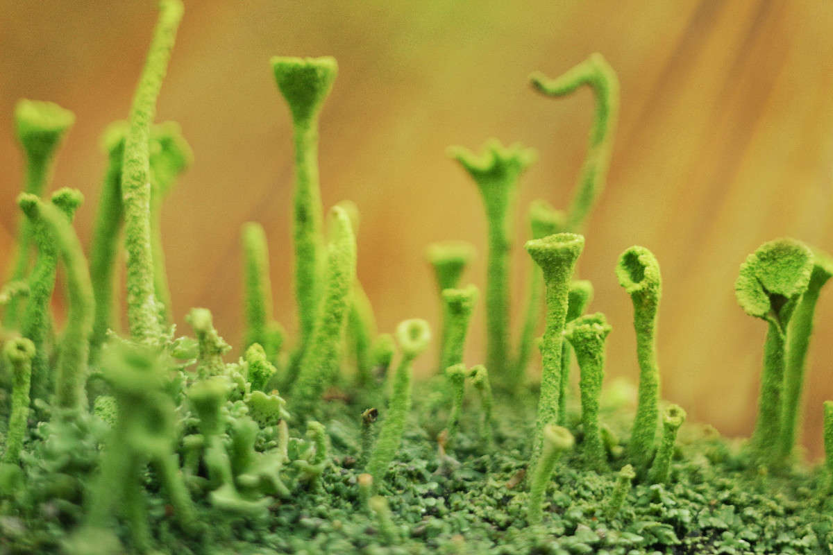 ... ����� ��������� �������� �� PhotoGeek.ru #�����