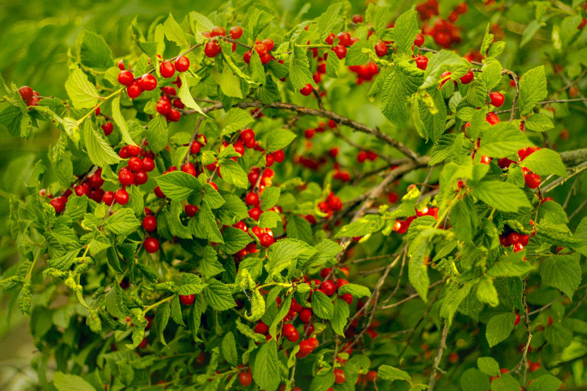 ... ����� ��������� �������� �� PhotoGeek.ru #������ ��� ������� #����� ��������������