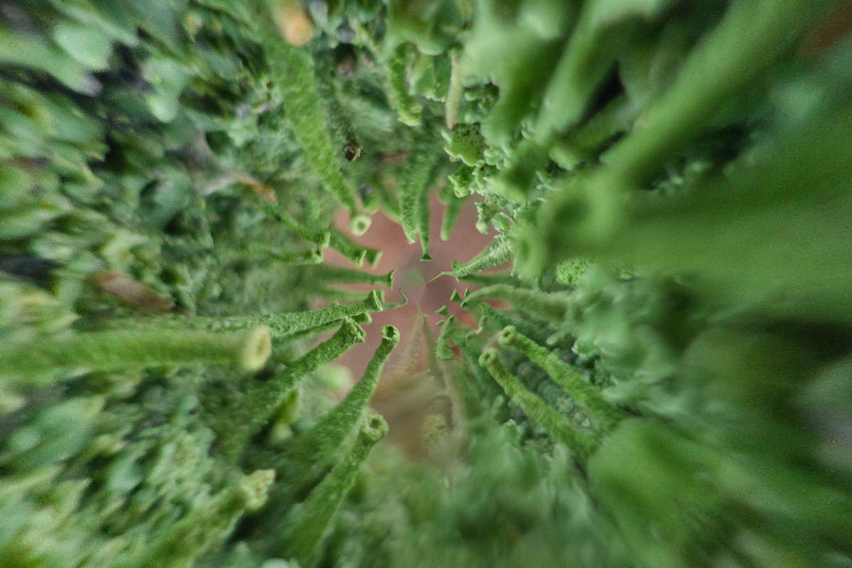 ... ����� ��������� �������� �� PhotoGeek.ru #����� #������ ��� ������� #����� ��������������