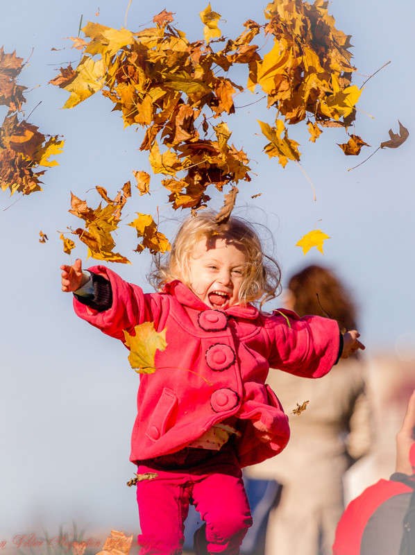 ... ����� Viktor Nogovitsin �� PhotoGeek.ru #������� #��������