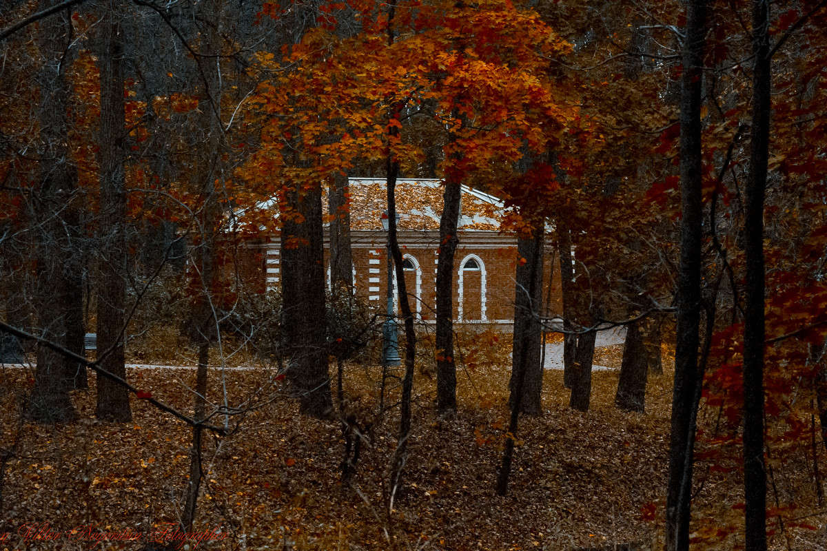 ... ����� Viktor Nogovitsin �� PhotoGeek.ru #������ ��� �������