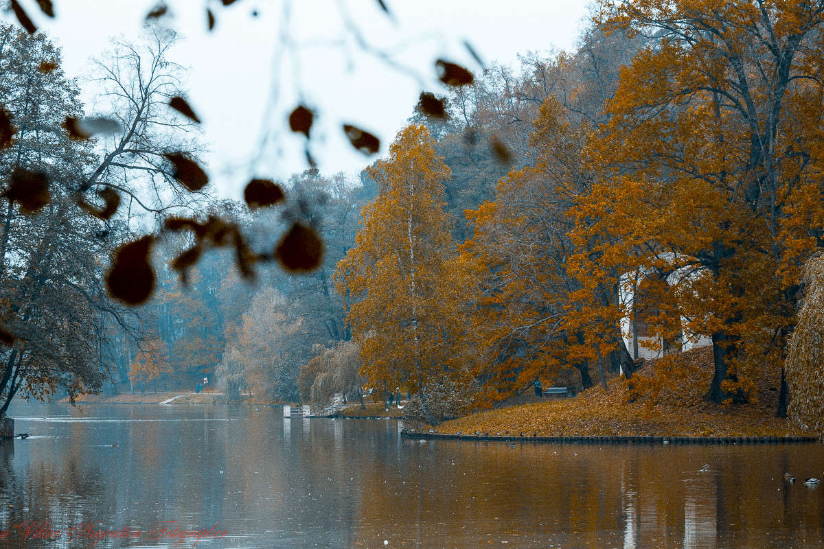 ... ����� Viktor Nogovitsin �� PhotoGeek.ru #������ ��� �������