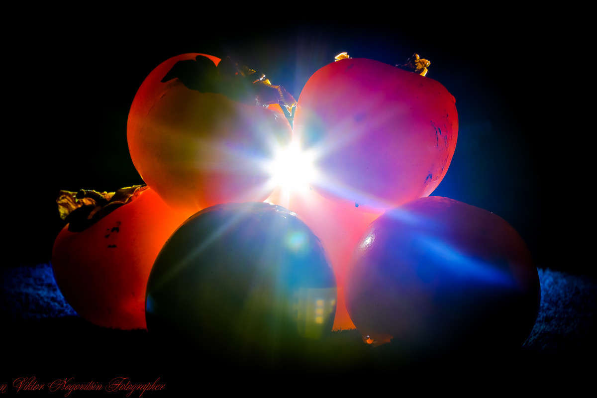 ... ����� Viktor Nogovitsin �� PhotoGeek.ru #���������