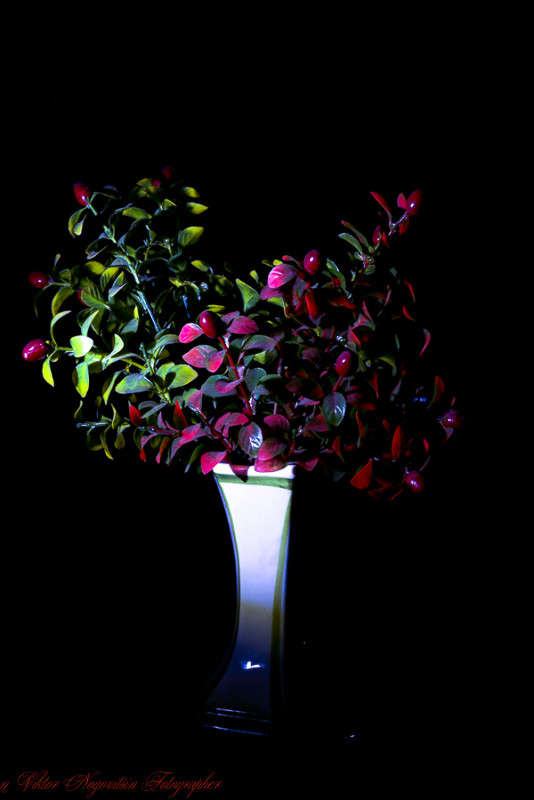 ... ����� Viktor Nogovitsin �� PhotoGeek.ru #���������