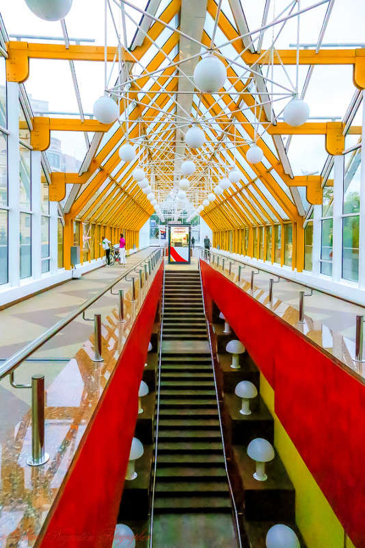 ... ����� Viktor Nogovitsin �� PhotoGeek.ru #�����������