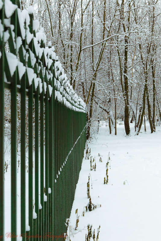 ... ����� Viktor Nogovitsin �� PhotoGeek.ru #������ ��� �������