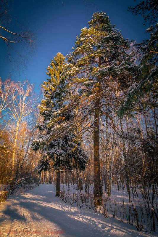 ... ����� Viktor Nogovitsin �� PhotoGeek.ru #������ ��� �������