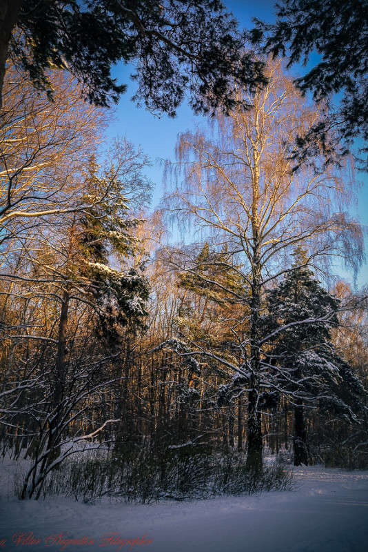 ... ����� Viktor Nogovitsin �� PhotoGeek.ru #������ ��� �������