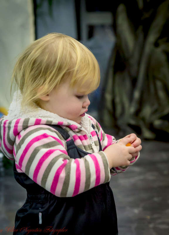 ... ����� Viktor Nogovitsin �� PhotoGeek.ru #�������