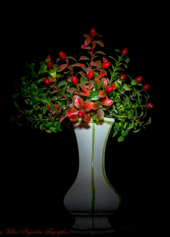 ... ����� Viktor Nogovitsin �� PhotoGeek.ru #���������