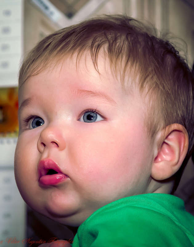 ... ����� Viktor Nogovitsin �� PhotoGeek.ru #�������