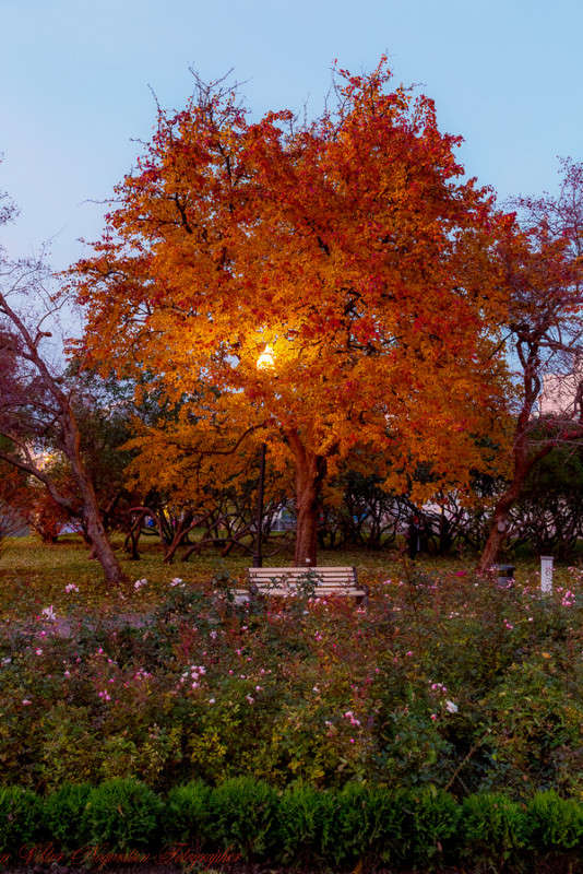 ... ����� Viktor Nogovitsin �� PhotoGeek.ru #������ ��� �������