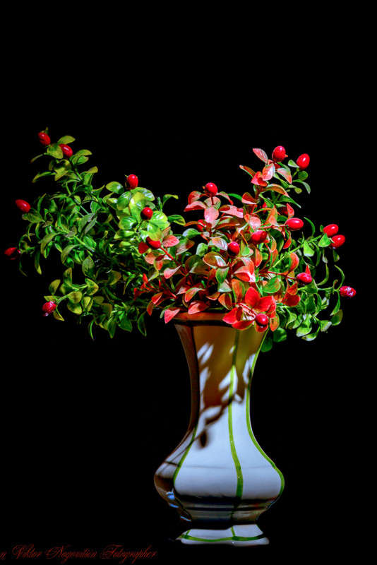 ... ����� Viktor Nogovitsin �� PhotoGeek.ru #���������