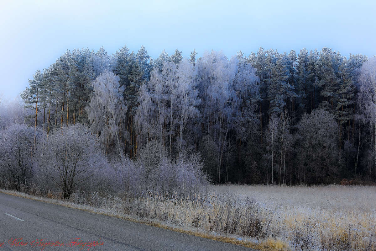 ... ����� Viktor Nogovitsin �� PhotoGeek.ru #������ ��� �������