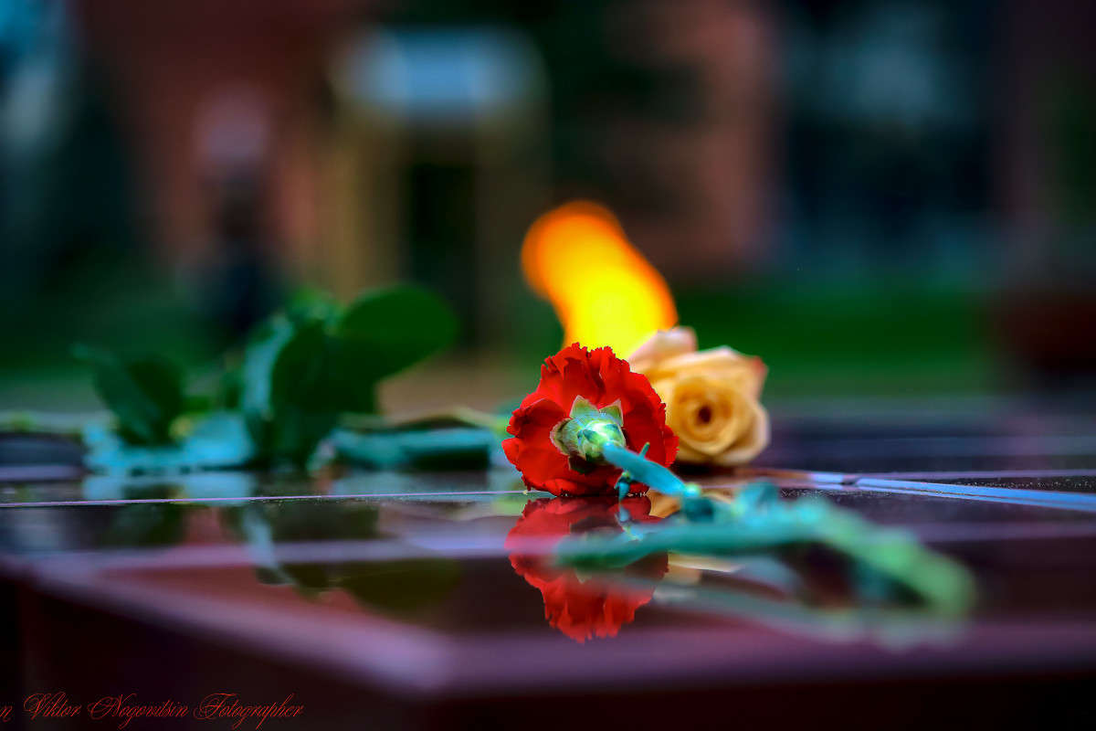 ... ����� Viktor Nogovitsin �� PhotoGeek.ru #��������