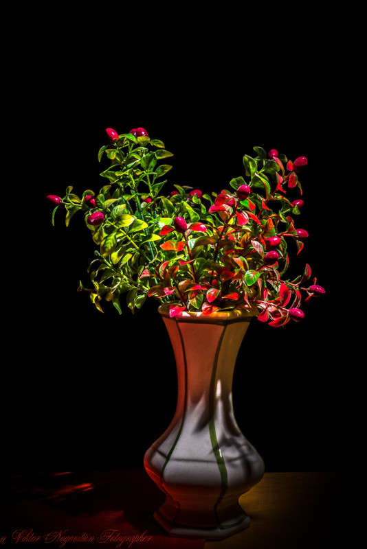 ... ����� Viktor Nogovitsin �� PhotoGeek.ru #���������