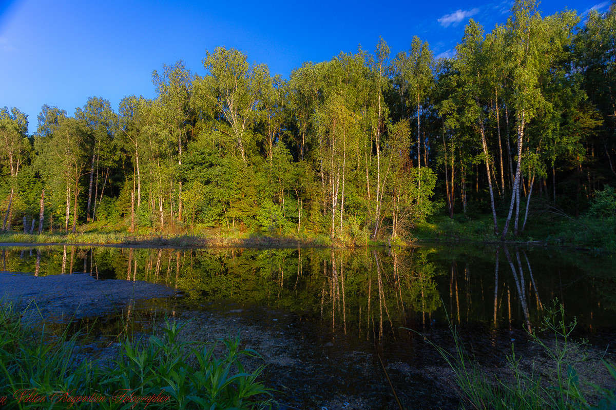 ... ����� Viktor Nogovitsin �� PhotoGeek.ru #������ ��� �������