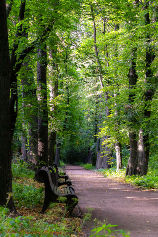 ������������ ��� ���. ����� Viktor Nogovitsin �� PhotoGeek.ru #������ ��� �������