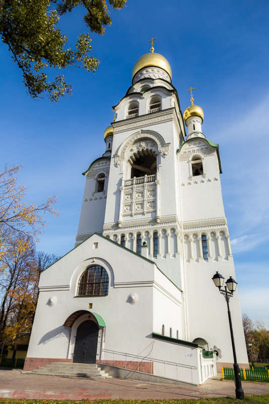 ��������� ���������������� ��������. ����� Viktor Nogovitsin �� PhotoGeek.ru #�����������