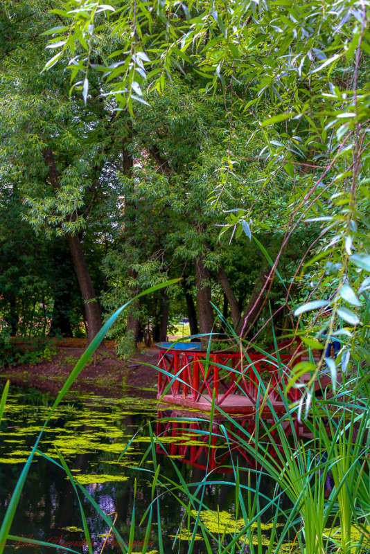 ... ����� Viktor Nogovitsin �� PhotoGeek.ru #������ ��� �������