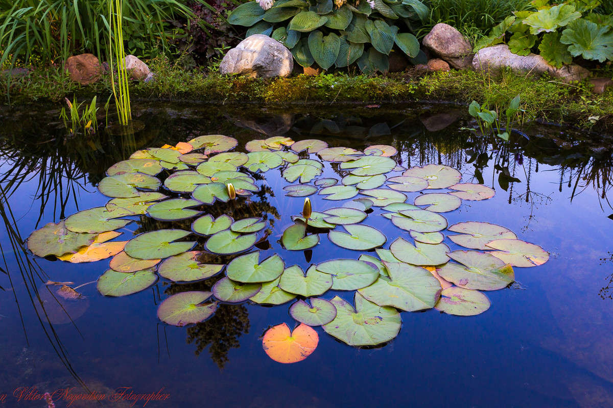 ... ����� Viktor Nogovitsin �� PhotoGeek.ru #������ ��� �������