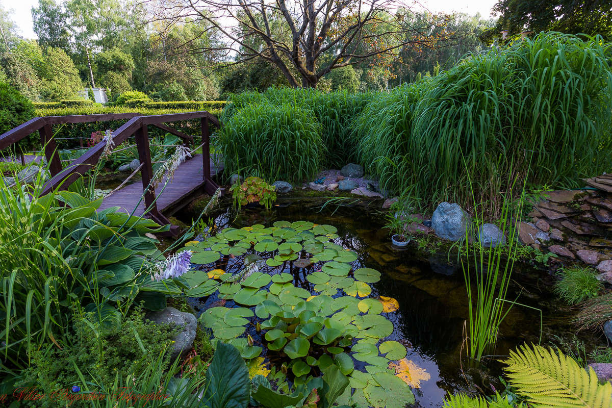 ... ����� Viktor Nogovitsin �� PhotoGeek.ru #������ ��� �������